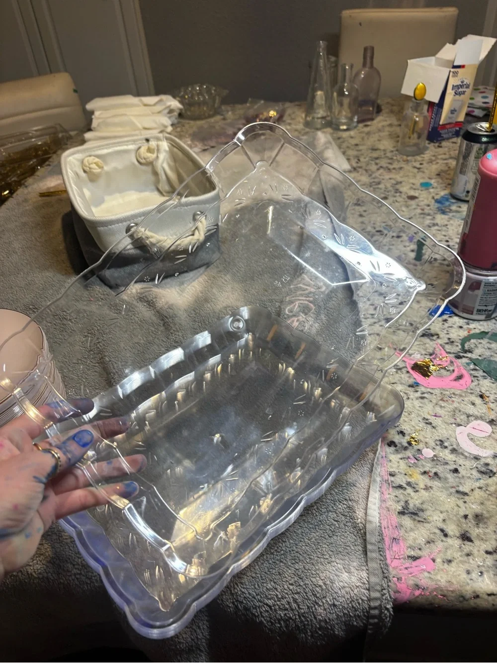 Set Clear Plastic Storage Tray - Transparent Home  platters